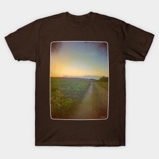 The Road to Autumn T-Shirt